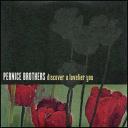 Pernice Brothers Discover A Lovelier You