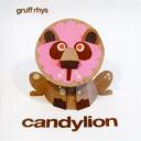 Gruff Rhys ‘Candylion’